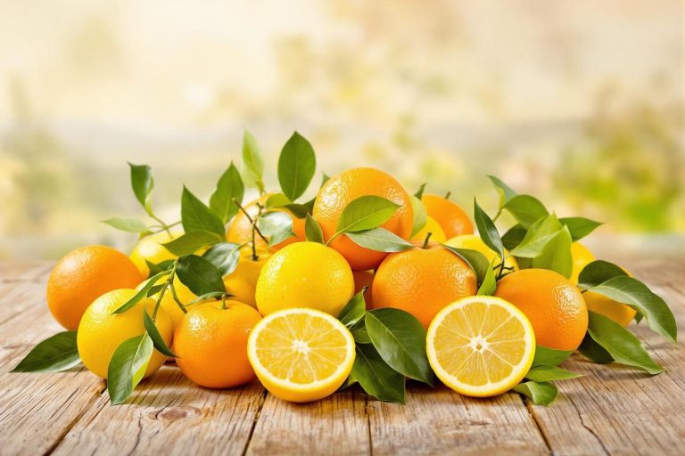 Agrumes italiens : richesse et héritage de l'Italie.jpg